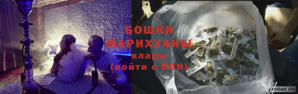 сатива Аркадак
