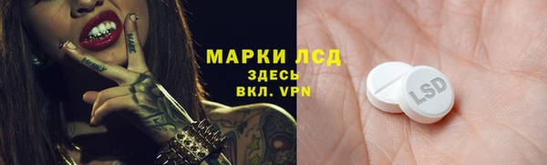 сатива Аркадак