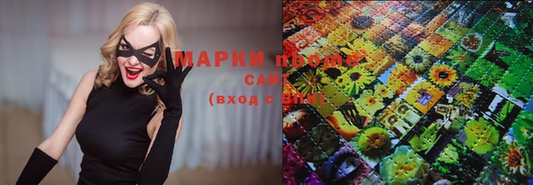 сатива Аркадак